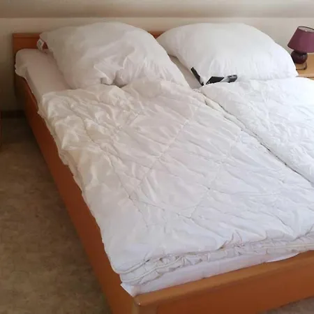 Haus Nikolaus 2 ケレンフーゼン